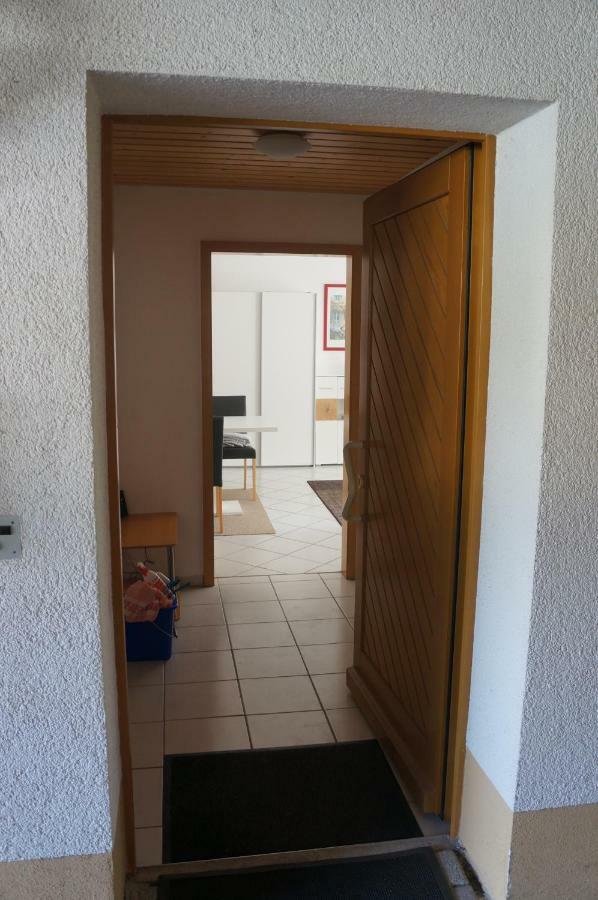 Fritz Apartment Bad Krozingen Exterior foto